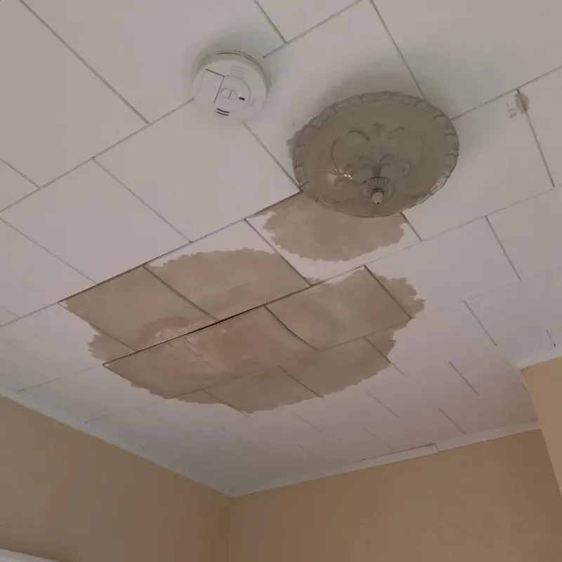 Ceiling Water Damage Repair in New Haven, WV