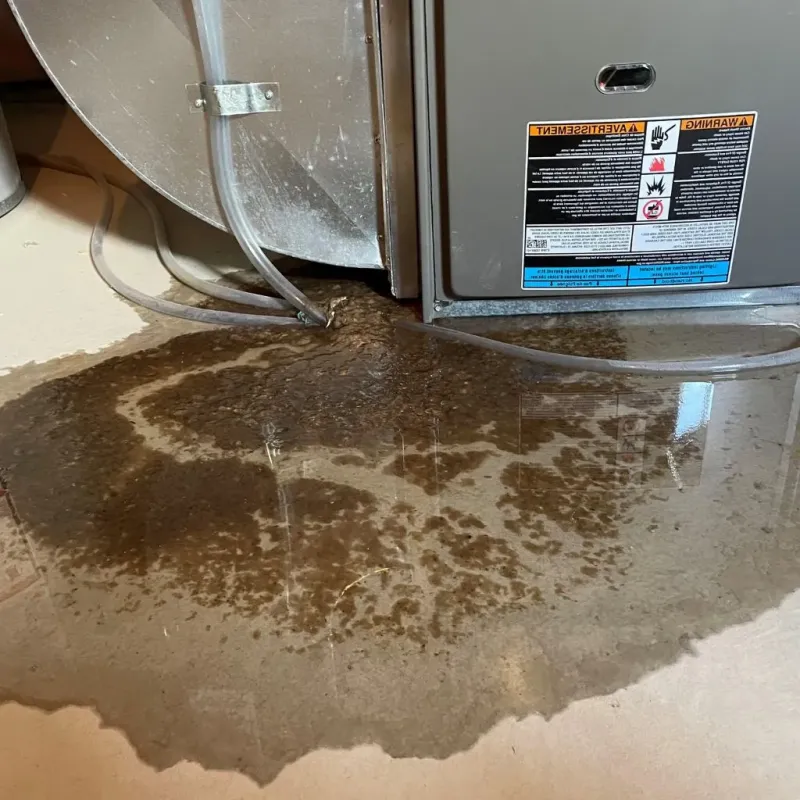 Pipe Burst and Leak Restoration in New Haven, WV