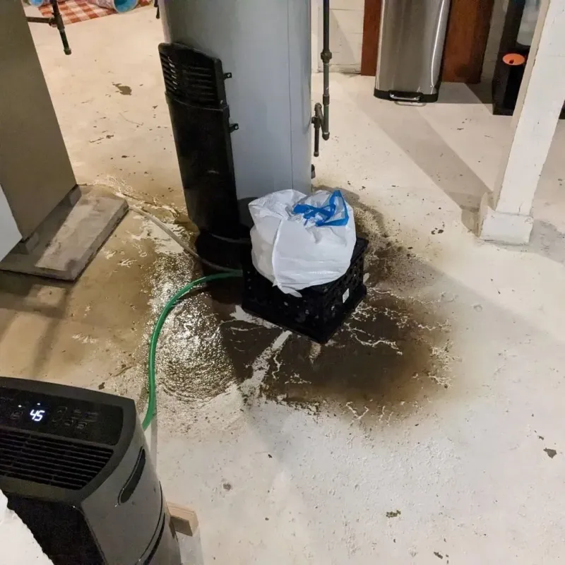 Sewage Backup Cleanup Service in New Haven, WV